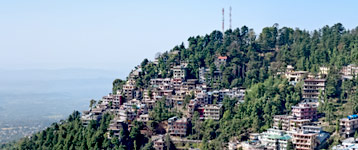 Hotels in Dharamshala