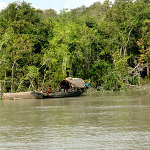 Sunderbans - Editor's Note